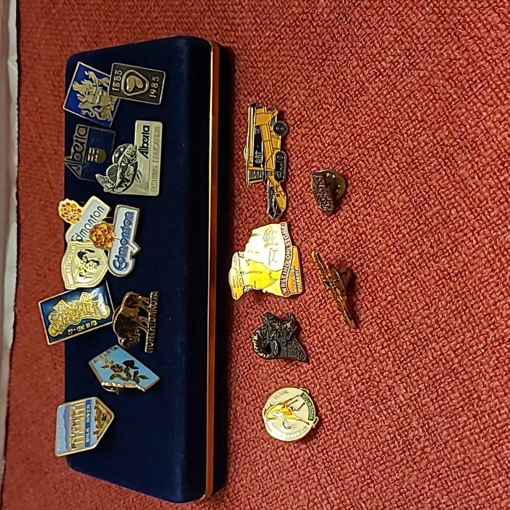 Vintage Pin Collection 17 In Total.